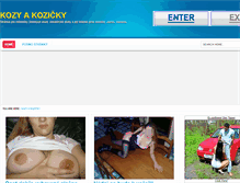 Tablet Screenshot of kozicky.info